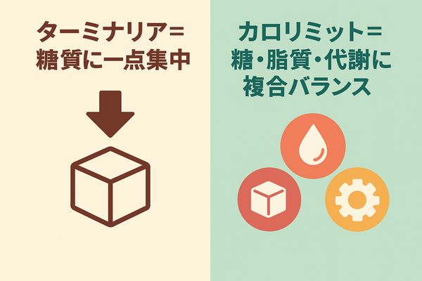 ターミナリアは糖質に一点集中し、カロリミットは糖・脂質・代謝を複合的にサポートする効果の違いを比較したイラスト