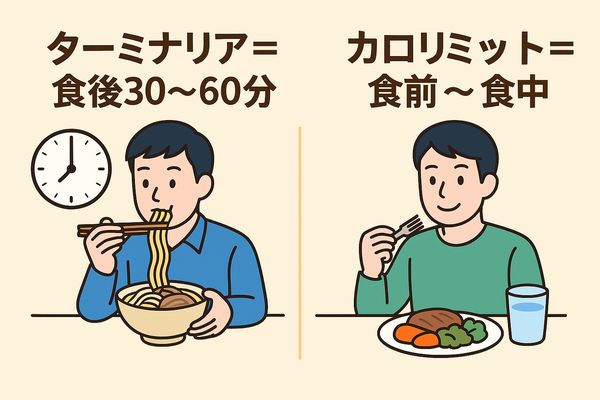 ターミナリアは糖質に一点集中、カロリミットは糖・脂質・代謝を広く支える仕組みの違いを示す比較イラスト