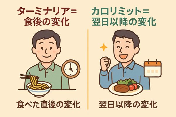 ターミナリアは食後すぐの変化、カロリミットは翌日以降の体の軽さに違いが出ることを示す比較イラスト